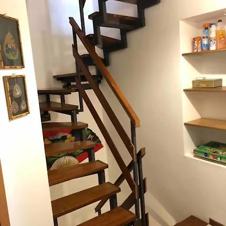 Emily Nel Parco Del Monte Cucco Casalvento