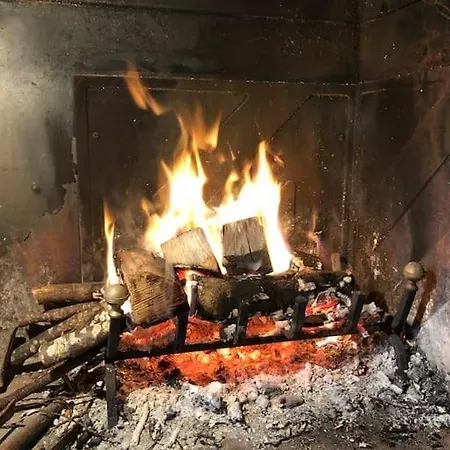 Emily Nel Parco Del Monte Cucco