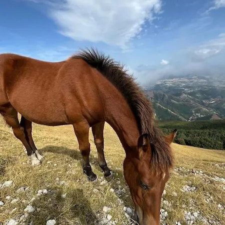Prázdninový dům Emily Nel Parco Del Monte Cucco *
