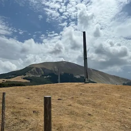 Emily Nel Parco Del Monte Cucco