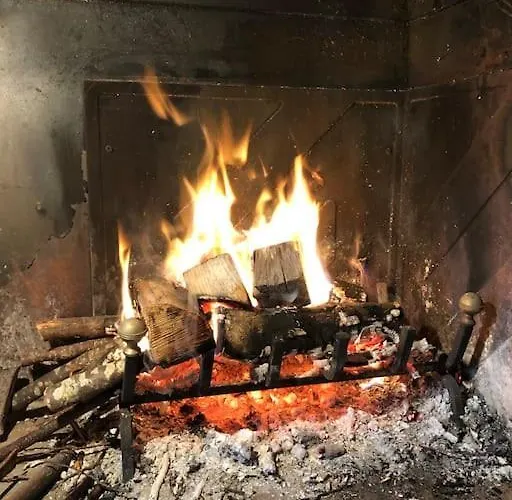 Emily Nel Parco Del Monte Cucco