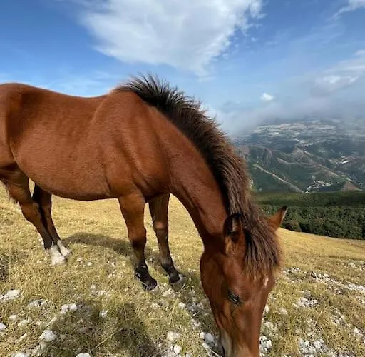 Casa vacanze Emily Nel Parco Del Monte Cucco *